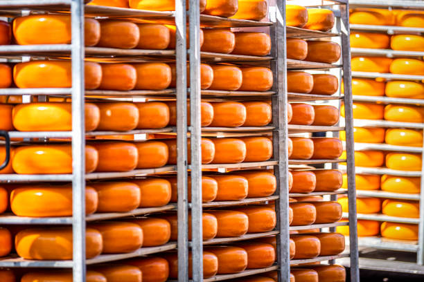 Piled up aged cheese forming a pattern on the street market in Belo Horizonte, Minas Gerais. Queijo curado Serra da Canastra.
