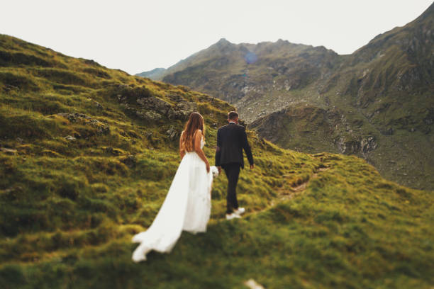 The bride in wedding dress followed the groom while walking along the field against the background of mountains. Wedding travel. stock photo