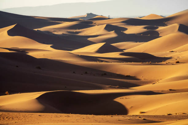 istock Background with sandy dunes in desert 1399402603