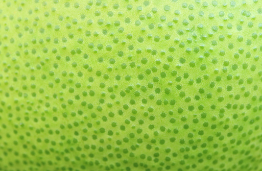 Amazing Bright Green Dotted Pattern Pomelo Peel for Abstract Backdrop