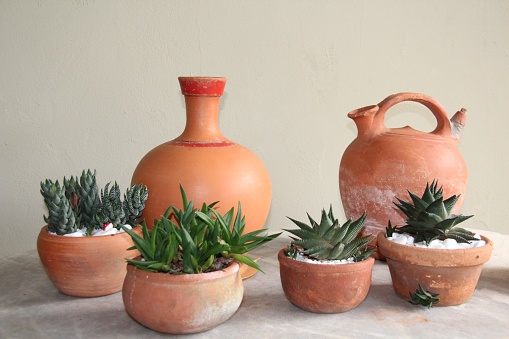 Succulents in a clay pot and two old clay jugs, decorative in a garden.