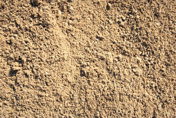 istock The texture of the sand. 1399403708