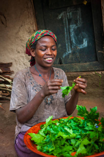 istock Young Ethiopian woman sorting fresh leaves 1399407819