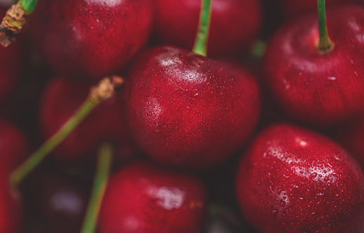 Fresh raw ripe cherries with water drops