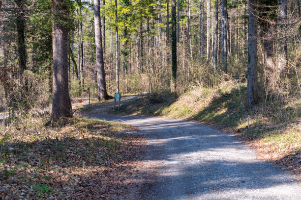 istock Hiking trail through a forest in Schaan in Liechtenstein 1399413041