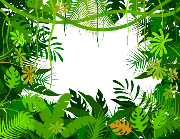hintergrund des tropischen regenwaldes. dschungelrahmen-poster. - rainforest stock-grafiken, -clipart, -cartoons und -symbole