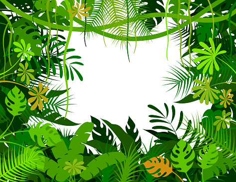 Tropical Rainforest Background. Jungle Frame Poster.