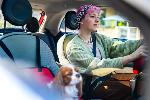 Young woman with colored hair is traveling by car with her dog
