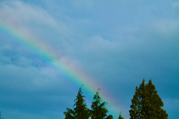 Free Stock Photo of Two Rainbows in the Sky Above Trees | Download Free ...