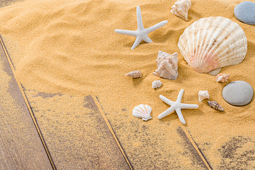 Summer vacations and marine background: starfish, conch shells, and sea stones on tropical golden beach sand shot on wooden plank. The composition is at the right of an horizontal frame leaving useful copy space for text and/or logo at the left. High resolution 42Mp digital capture taken with SONY A7rII and Zeiss Batis 40mm F2.0 CF lens