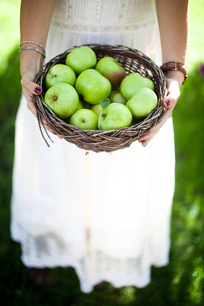 Women Holding a basket of apples stock photo