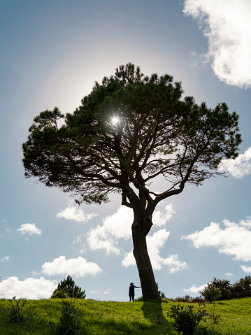 Woman touching a beautiful tree at the top of a hill. Vertical photography