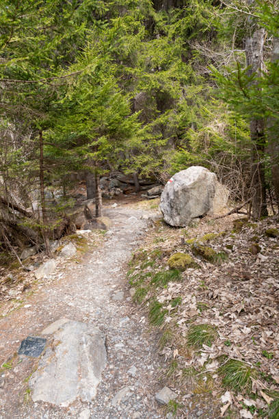 istock Big rock in a forest in Grison in Switzerland 1399426350