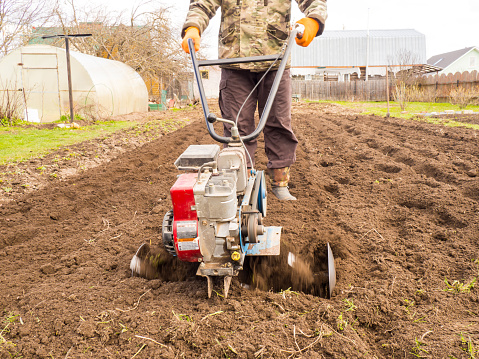 A man works the land in the garden with a cultivator, prepares the soil for sowing. farming concept