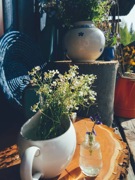 istock wild flowers still life composition close-up 1399428825