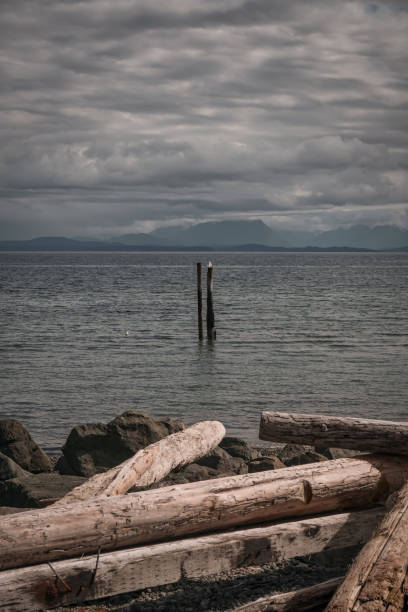 Oyster Bay in Campbell River, Vancouver Island, BC, Canada stock photo