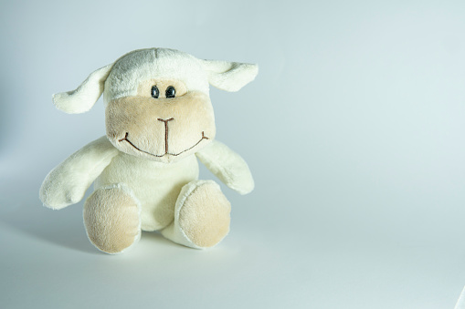 Picture of a little cute toy white sheep on a white background. The concept of toys, entertainment for children