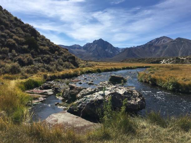 istock Oxbow Stream at Hot Creek 1399438735