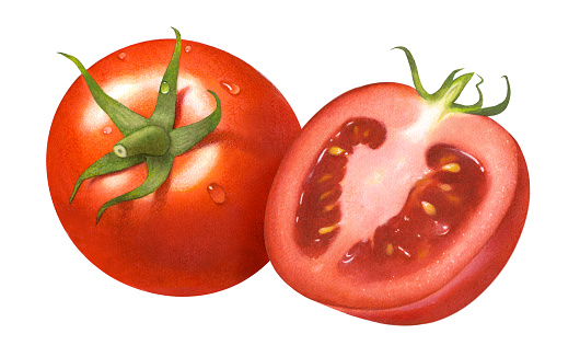An illustration of a whole tomato and a cut half on the right.