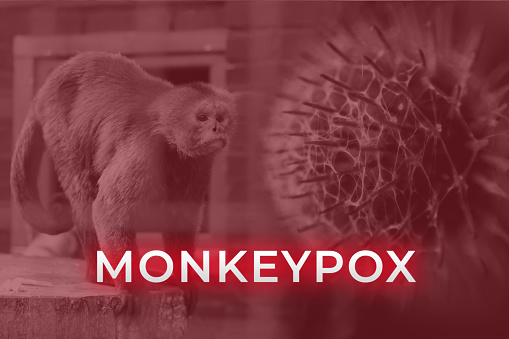 Monkeypox virus. Red background. Outbreak concept. Virus transmitted to humans from animals. Monkeys may harbor the virus and infect people. New pandemic. Word monkeypox. Blurred. Molecular. Wildlife.