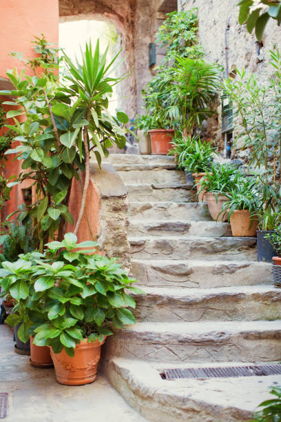 istock Archway with stone stairs and plants 1399443188