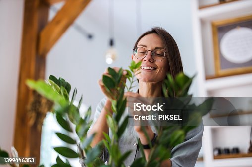 istock Young woman taking care of her houseplants 1399446353