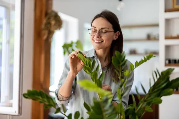 Young woman taking care of her houseplants