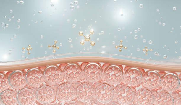 water and vitamin drop on skin cell. reduce up saggy skin of the skin cell. - cela imagens e fotografias de stock