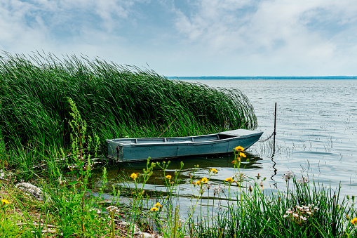 Boats tied up in the reeds on the shore of lake Nero. Rostov. Russia.