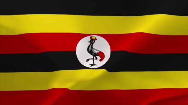 260 Uganda Flag Stock Videos and Royalty-Free Footage - iStock | Uganda flag  vector
