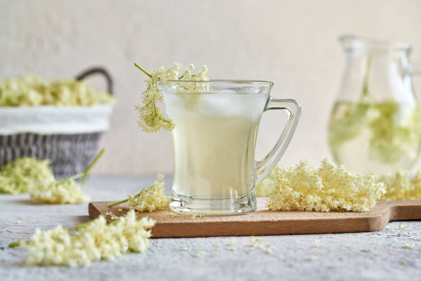 Lemonade made of fresh elder flower syrup A cup of herbal lemonade with syrup made of fresh elder flowers in spring sambucus nigra stock pictures, royalty-free photos & images