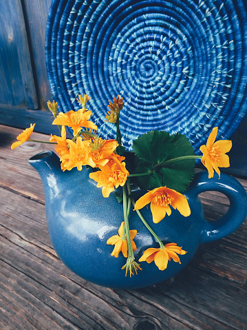 bunch of yellow wild flowers in a blue clay pot, on the blue wooden background. Still life in rustic style. Beauty, Nature, Simple. Minimalism, art studio concept