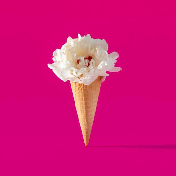 istock White peony flower in ice cream cone with magenta background 1399457923