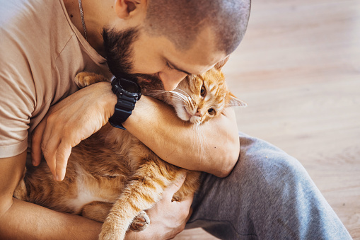Man cuddling his cute ginger cat, pet looking pleased and sleepy. Adorable pet. Holding hands.