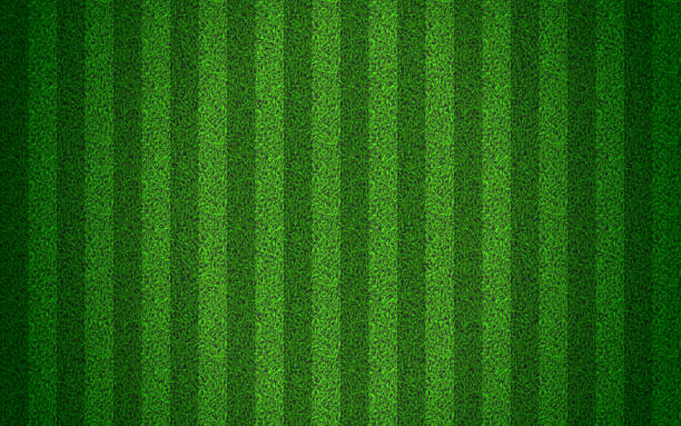 Green grass seamless texture on striped sport field Green grass seamless texture on striped sport field. Astro turf pattern. Carpet or lawn top view. Vector background. Baseball, soccer, football or golf game. Fake plastic or fresh ground for game play backyard background stock illustrations