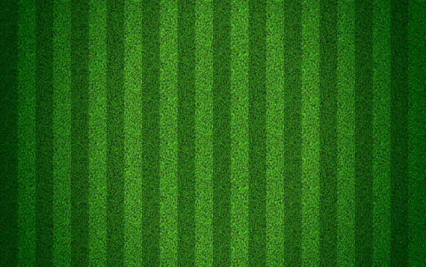 Vector illustration of Green grass seamless texture on striped sport field