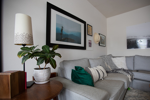 Living room with wall art, side table with lamp and a plant, couch. Common things in and around the house. Wall art features a photograph of a bird against the Colombian Andes taken by Elan Irving (photographer of this image) on January 19, 2020 in Antioquia, Colombia.