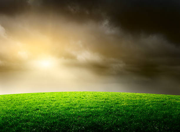 istock stormy sky and field of spring grass 139948261