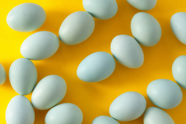 istock Fresh organic blue eggs on the yellow background. Top view. Not painted. 1399486045