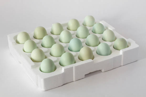 istock Fresh organic blue eggs in styrofoam container. Isolated white background. Not painted. 1399486048