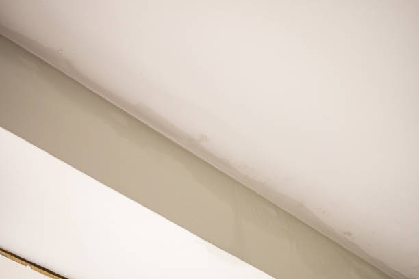istock Rain water leak damaged ceiling close up 1399488632