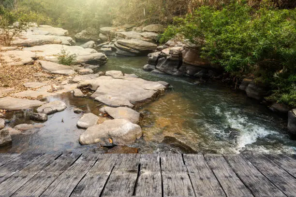 Photo of Old Wooden Plank Against Water Stream In Wood Background.