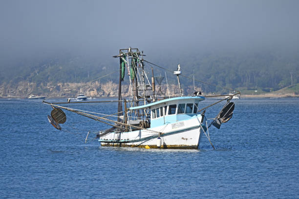 Shrimp fishing boat with it's nets out off the south eastern coast line.