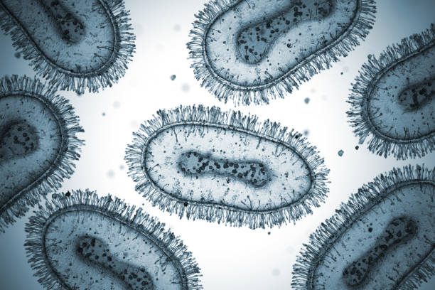 Monkey Pox Virus Cells Microscope Slide Monkeypox Virus. 3D Render mpox stock pictures, royalty-free photos & images
