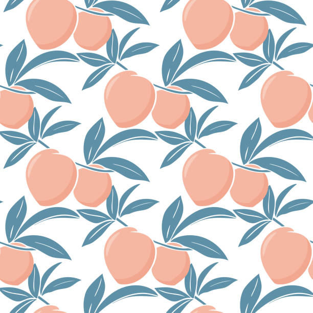 jasny letni bezszwowy wzór z brzoskwiniami - nectarine peach backgrounds white stock illustrations