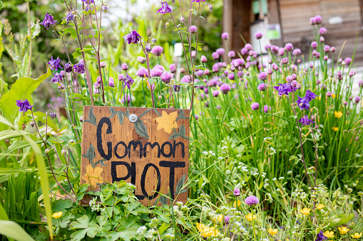 Urban community garden background. Selective focus on handmade sign with defocused foliage, pink and yellow flowers.