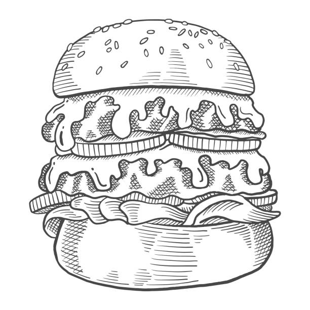 illustrations, cliparts, dessins animés et icônes de hamburger fast food simple isolé dessiné à la main avec style de contour - sandwich sketch cartoon line art