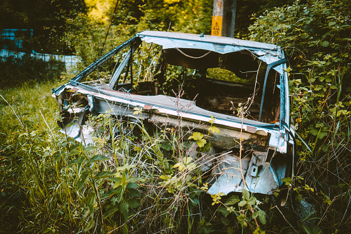 Plants and thorn bush tightly surrounding abandoned car