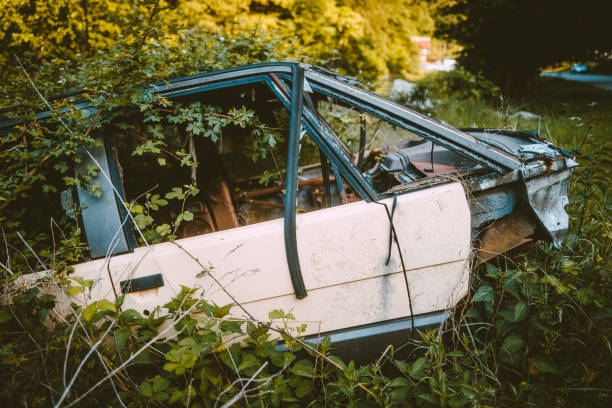 istock Abandoned car wreck rusting in the forest 1399516392
