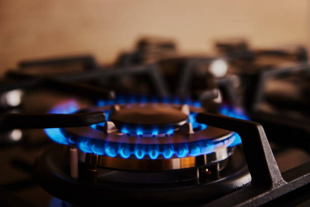istock Gas stove with flame on burner, close up 1399524938